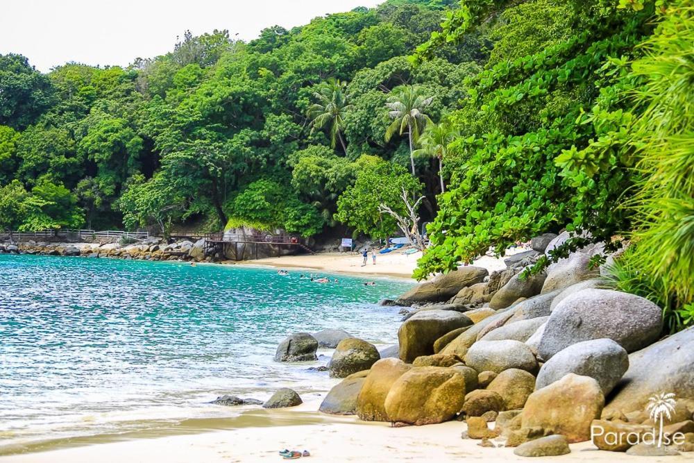 Paradise Beach Backpackers Hostel パトン エクステリア 写真