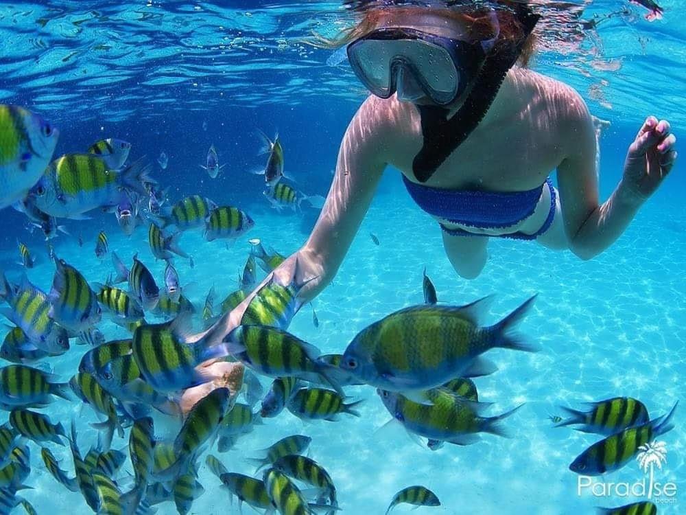 Paradise Beach Backpackers Hostel パトン エクステリア 写真
