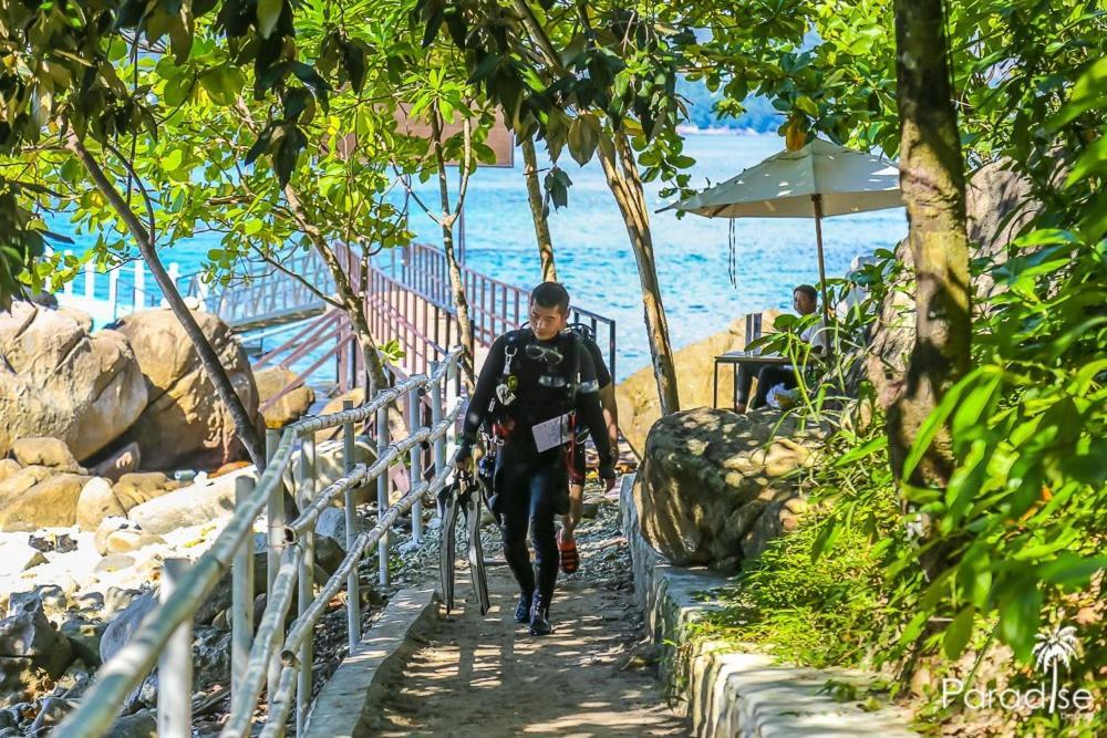 Paradise Beach Backpackers Hostel パトン エクステリア 写真